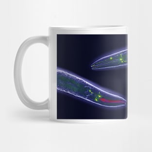 Caenorhabditis elegans (C011/1388) Mug